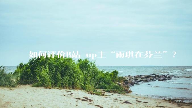 如何评价B站 up主“雨琪在芬兰”？