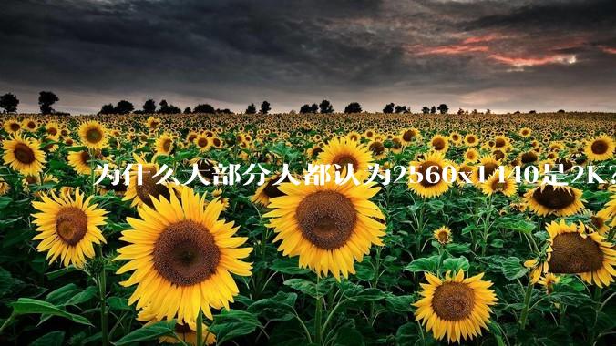 为什么大部分人都认为2560x1440是2K？