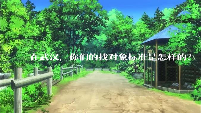 在武汉，你们的找对象标准是怎样的？