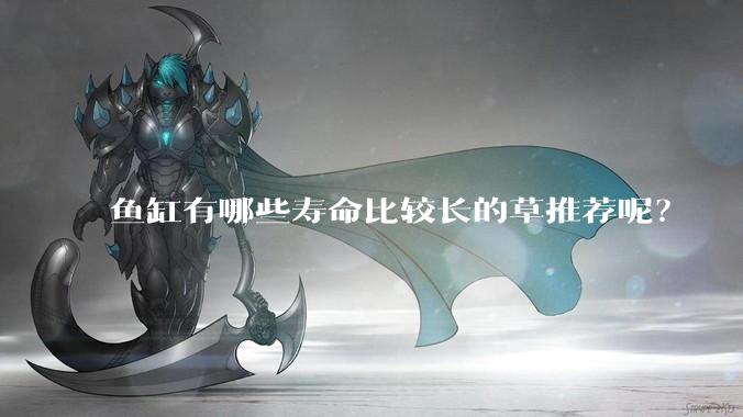 鱼缸有哪些寿命比较长的草推荐呢？