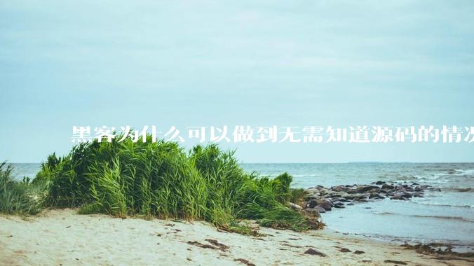 黑客为什么可以做到无需知道源码的情况下找出系统漏洞？