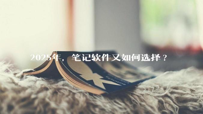 2025年，笔记软件又如何选择?
