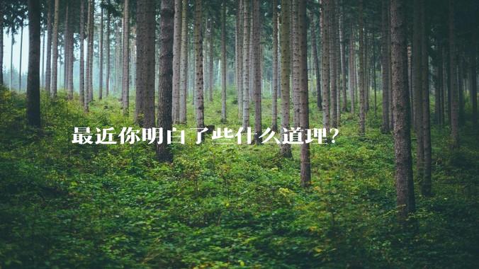 最近你明白了些什么道理？