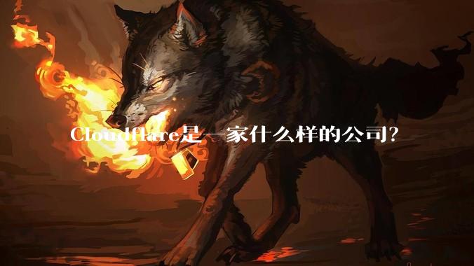 Cloudflare是一家什么样的公司？